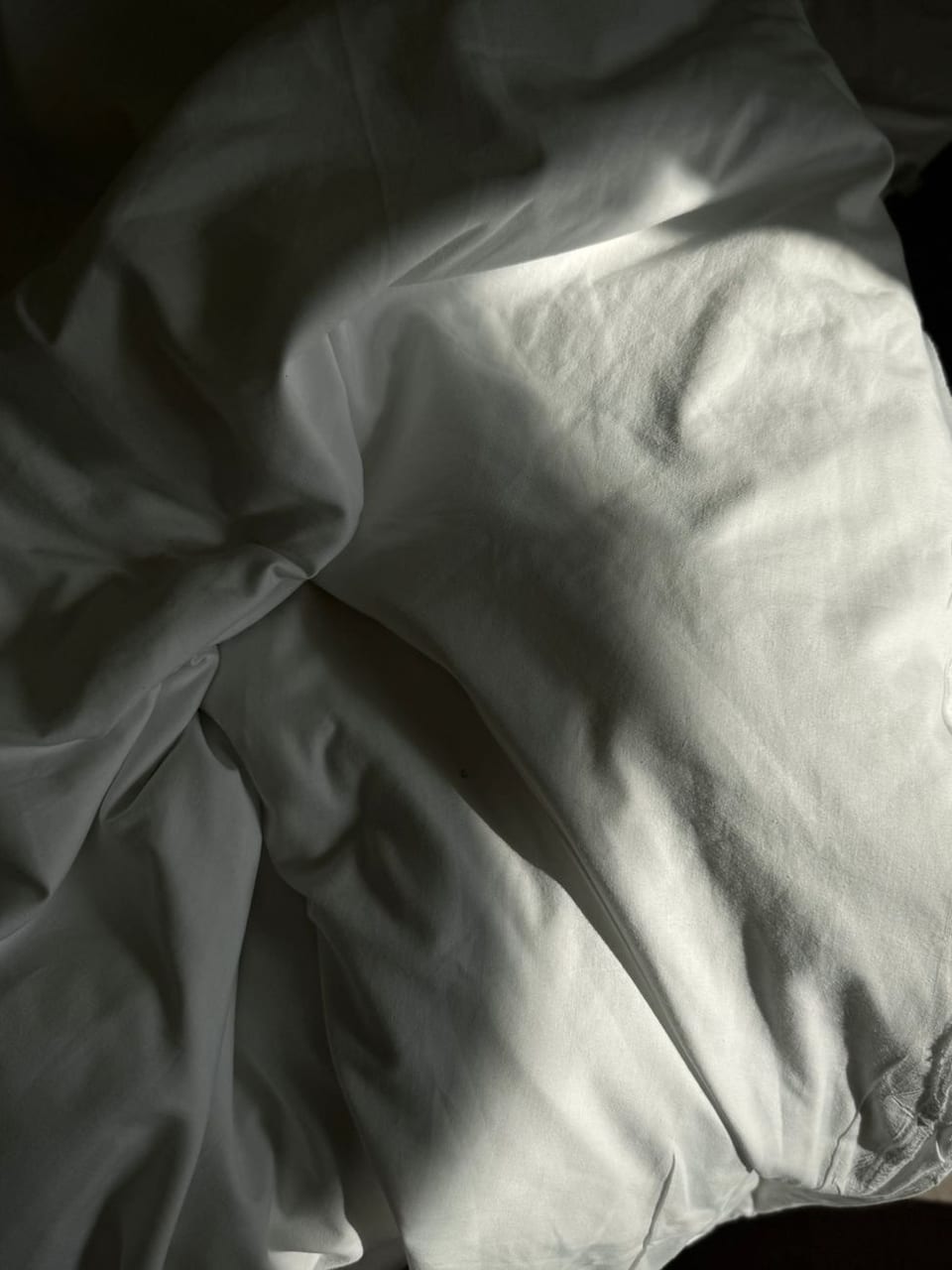 Morning light on rumpled bedding