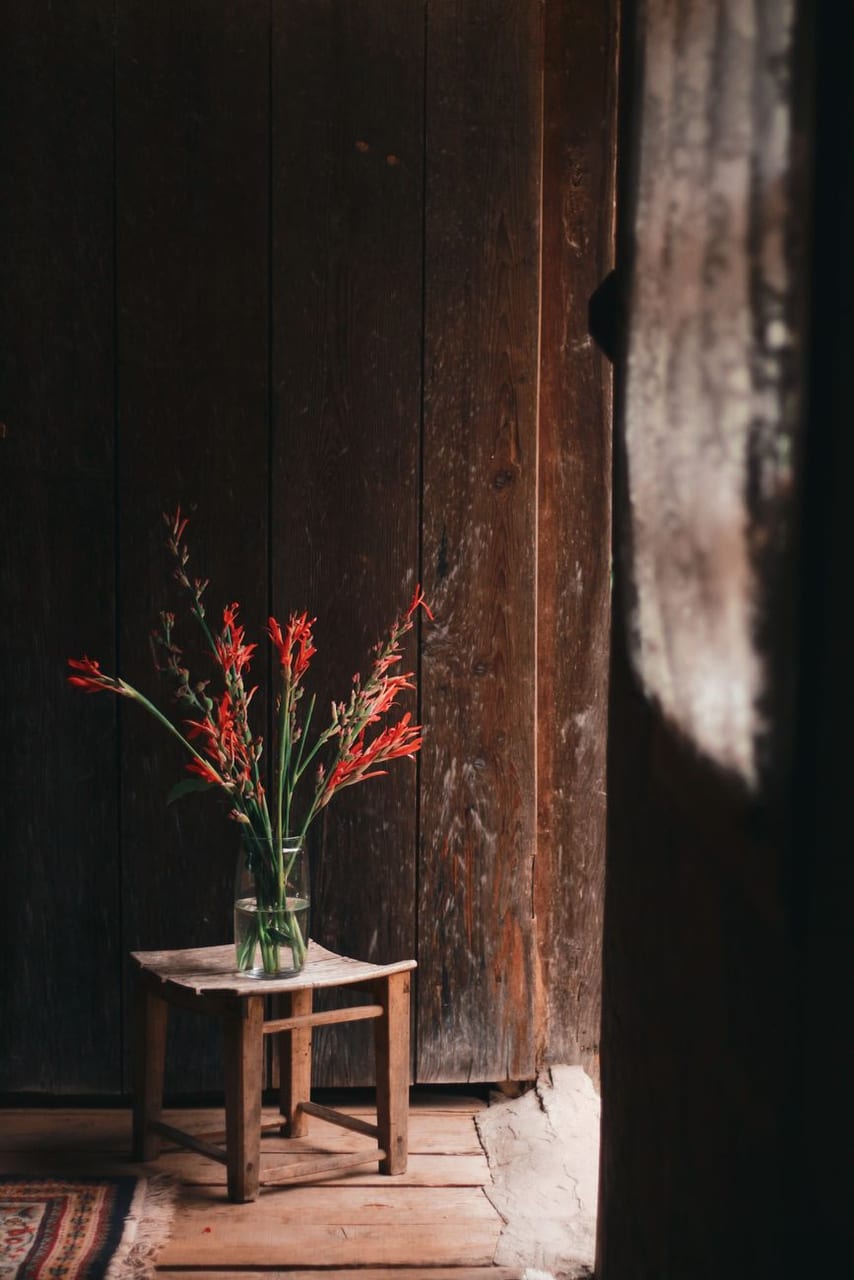 Simple red flowers in a quiet room